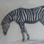 Gaston SUISSE (1896-1988) - Zèbre.